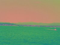 IMGP2747 edited (Medium)